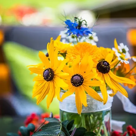 Unterrainhof Bauernhof