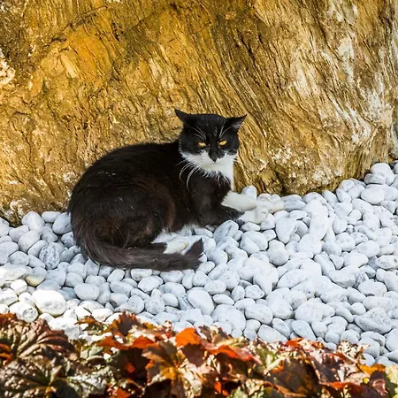 Unterrainhof Kleinarl