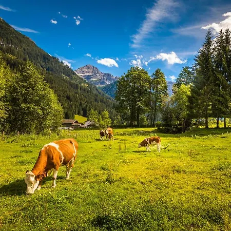 Agroturismo Unterrainhof *