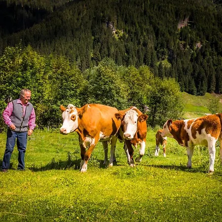 Unterrainhof Agroturismo *