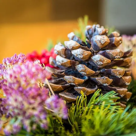 Gospodarstwo agroturystyczne Unterrainhof Kleinarl